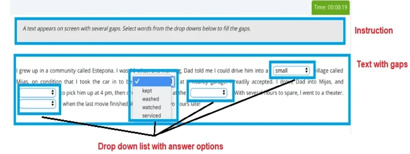Reading and Writing: Fill in the Blanks Layout