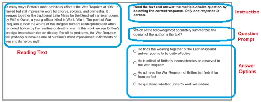 Multiple Choice, Choose Single Answer layout