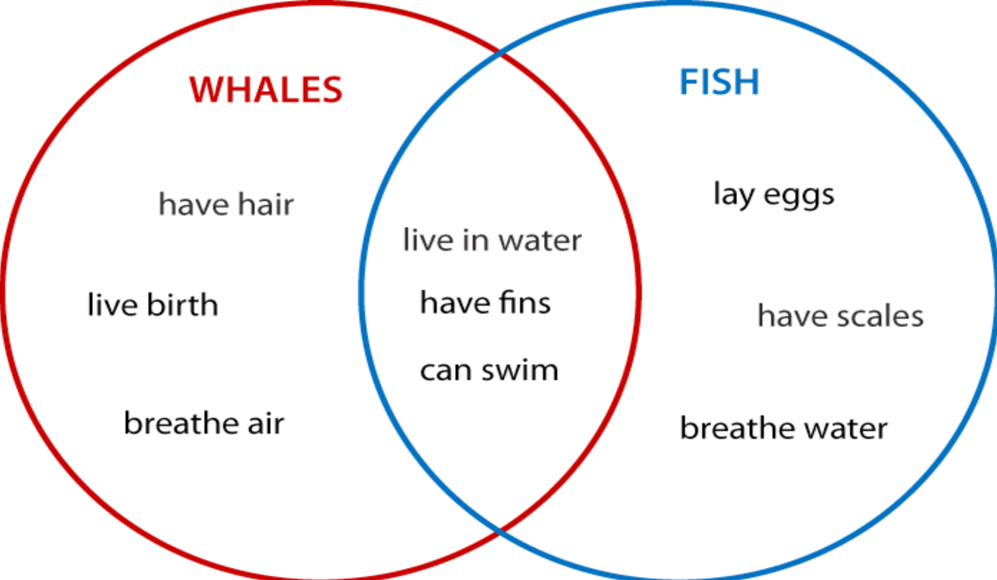 PTE Image Venn Diagrams